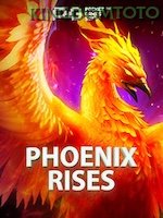 Phoenix Rises